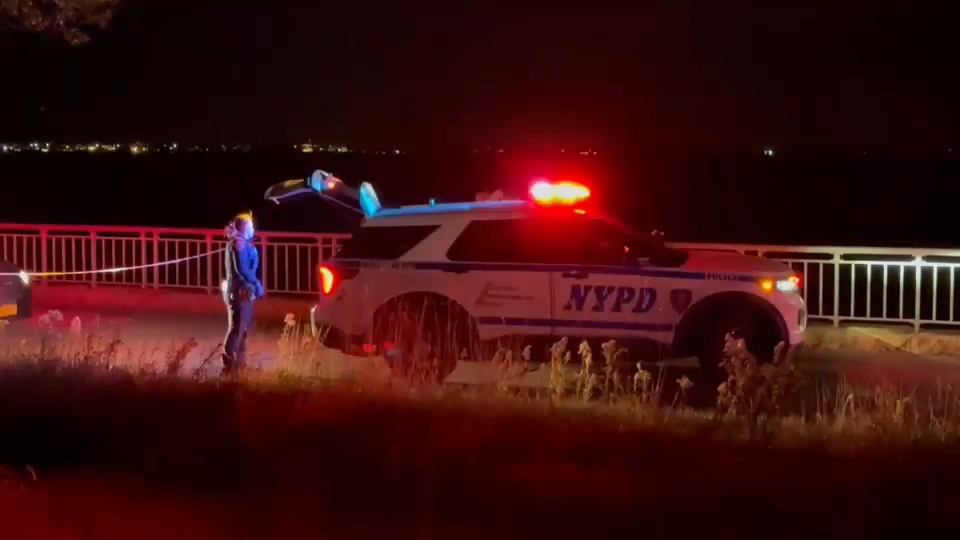 Woman critical after being stabbed in neck while out for a jog in Brooklyn
       — Mineola Community news
